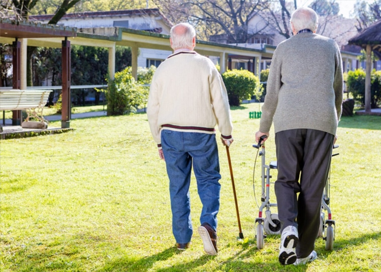 Two elderly men strolling in a yard, enjoying each other's company and the serenity of nature.